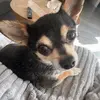 Mozzarella - @ella.durkee - TikTok