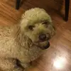 Ella - @ella_dutton - TikTok