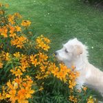ella dyer - @466hdiid - Instagram