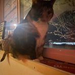 Elle Dykstra - Facebook