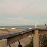 Ella Eastwell - @ella_eastwell - Instagram