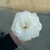 Ella Ebert  - @ella.ebert - TikTok