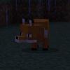 Ella - @ella_echo - TikTok