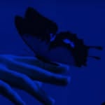 Ellaa - @ellaecho96 - Instagram