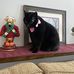Ella Egan - Facebook