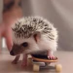 Ella Engels - @cutie_pie_club - Instagram