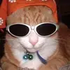 Ella Ennis - @ellaennis.priv - TikTok
