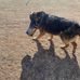 Eli Eubanks - Facebook