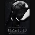 Ella Eubanks🐳🐬 - @_blackfish__ - Instagram