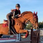 Ella Eubanks - @ellae.equestrian - Instagram