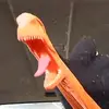 ella Fair - @kyi.fair54 - TikTok