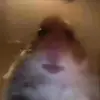 Ella Fairchild179 - @3xx.ella.xx11 - TikTok