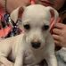 Ella Fairchild - Facebook