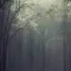 ella..fairchild_ - @ella..fairchild_ - TikTok