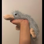 Ella Farmer (Webkinz Google) - @adventurezofgoogle - Instagram