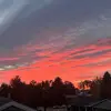 ellafarrington96 - @ellafarrington96 - TikTok