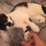 Ellie Farrington - @ezzyf_ - Instagram