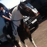 Yorkshire🏠year 10📔ellie🐴 - @ella__farrow - Instagram
