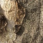 Ella_Faust - @ella.faust12 - Instagram