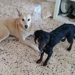 Ella Feiner - @feinerella - Instagram