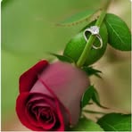 Feker Ali - Facebook