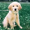 finley.ella - @finley.ella - TikTok