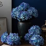 Ella Flowers - Facebook