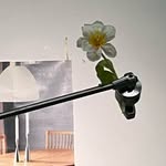 Ella Sweeney Flowers - @esf.world - Instagram