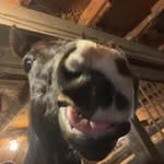 Ella Funk - @ellaf.unk - Instagram