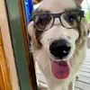Ella Furman - @ella.furman4 - TikTok