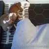 ellafurman06 - @ellafurman06 - TikTok