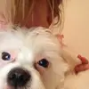 ellagoddard1 - @ellagoddard10 - TikTok