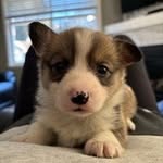 Ella Gregory - @ella.gregory.3 - Instagram