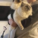 Ella Griggs - @ellagriggs13 - Instagram