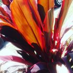 ellahaggery - @ellahaggerty4048 - Instagram