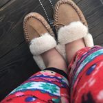 Ella Haley - @ella.beast14 - Instagram