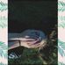 Ella Haley - Facebook