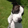 Ella Haley - @ellahaleyyx - TikTok