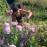 Ella Hammond - @ella_hammond_gardens - Instagram