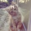 Ella_hammy - @ella_hammmmy - TikTok