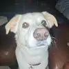 Ella Harrington - @ella.harrington44 - TikTok
