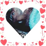 Ella Harvey - Facebook