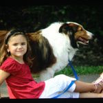 Ella Hedrick - @ella_dog_lover1721 - Instagram