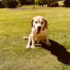Ella Herbert - @ellacherbert - TikTok
