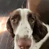ella bella - @ella.hilliard - TikTok