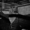 Ellahilliard123 - @ellahilliard1 - TikTok