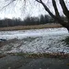 @ella1111shook - TikTok