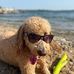 Avery Ella Hooks - Facebook