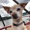 Ella house - @ellahouse120 - TikTok