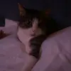 ella - @ihateellaingram - TikTok